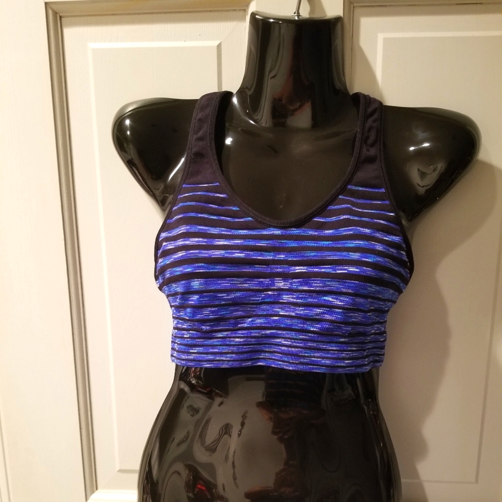 Champion Sports Blue Striped Top